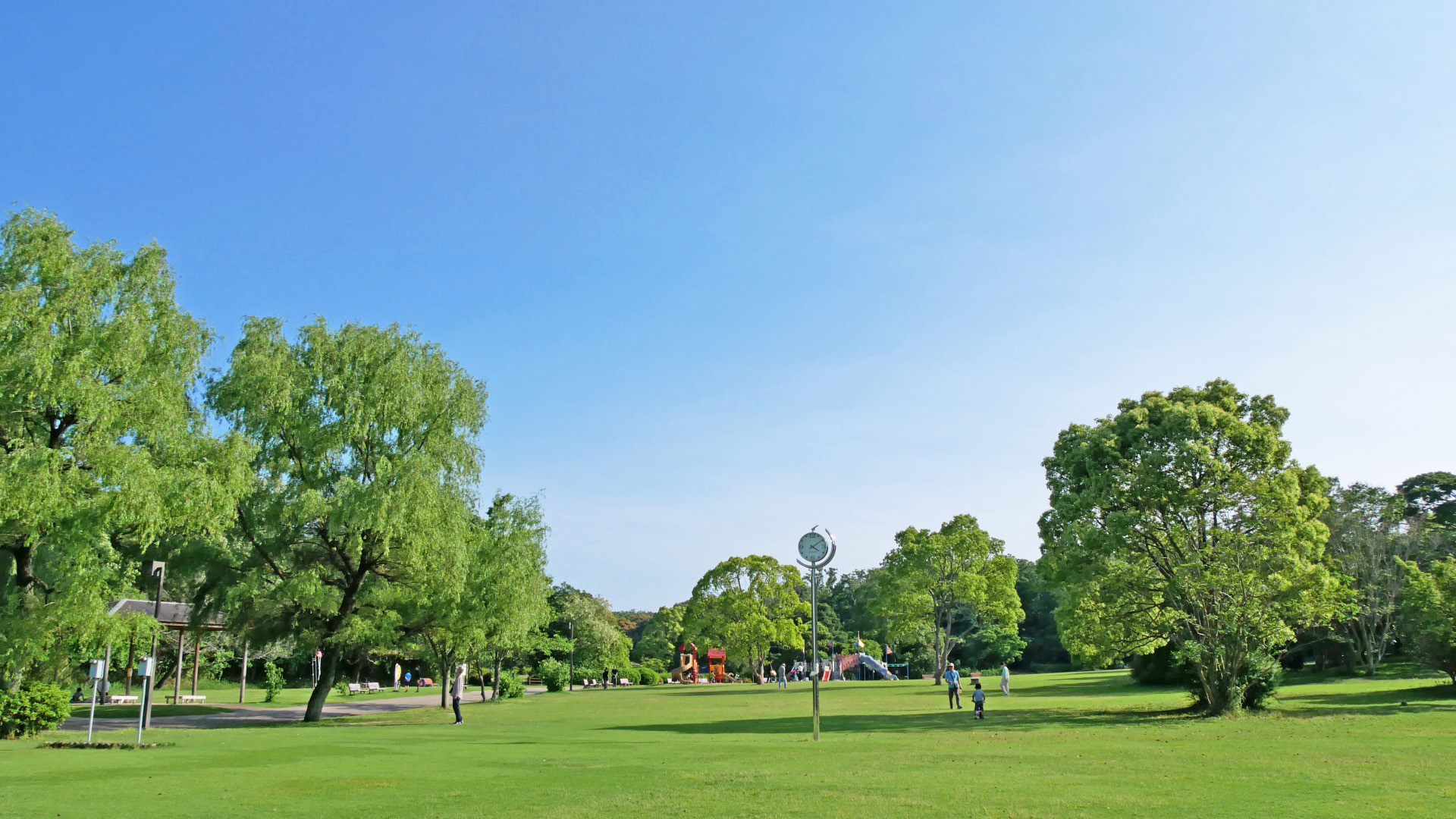 イベントを開催しました