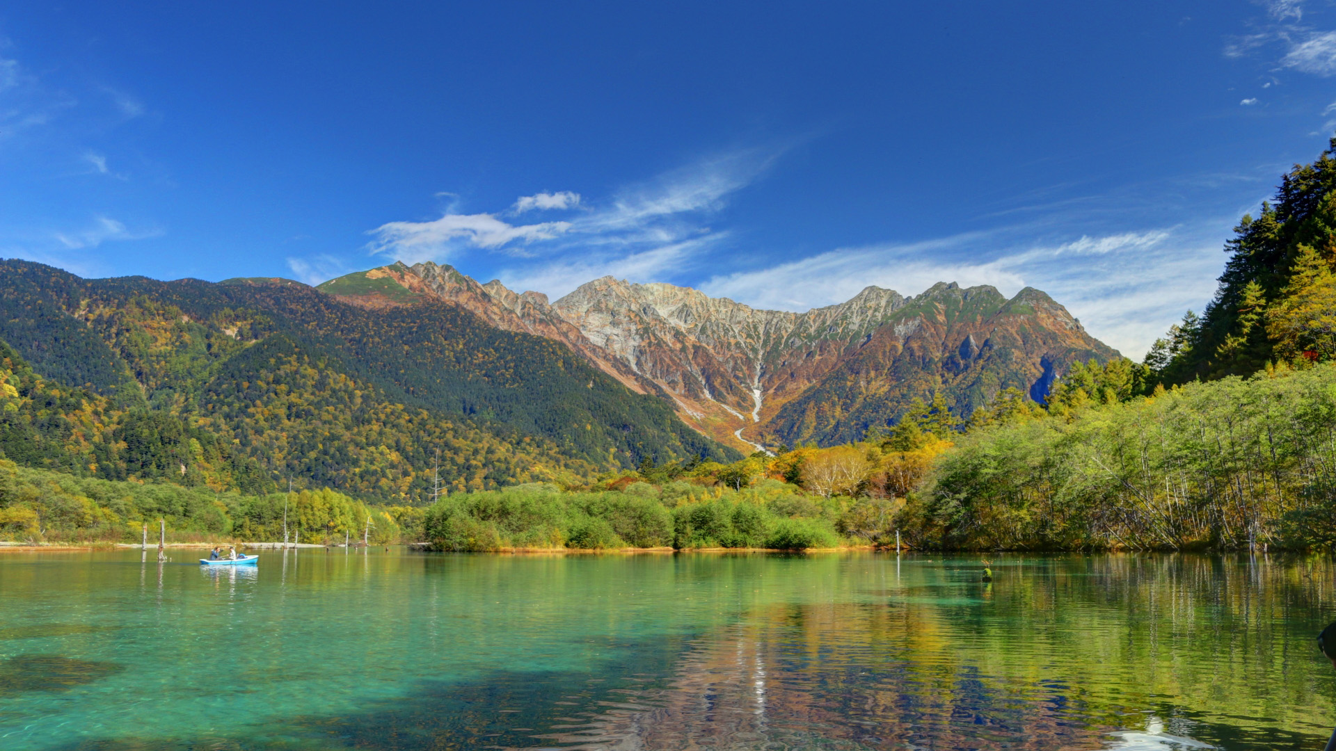 パーティを開催しました