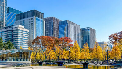 お知らせですお知らせですお知らせです